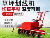 點(diǎn)擊查看詳細(xì)信息<br>標(biāo)題：草皮劃線(xiàn)機(jī) 閱讀次數(shù)：1593